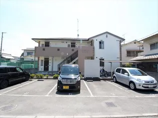 ビーラインみゆきの画像