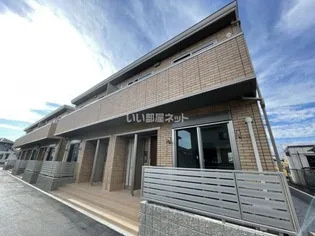 ラグドールAの画像