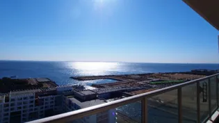 パークシティグランデ新浦安シーパレスの画像