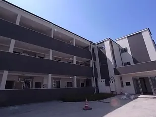 セイワコートプレミアムの画像