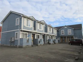 はなみずきの画像