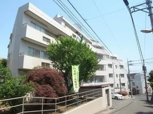 カーサピノの画像