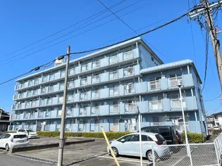 サンライズベルの画像