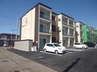 プラシードVの画像