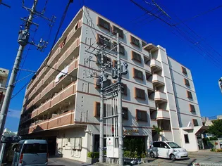 THELA HOUSEの画像