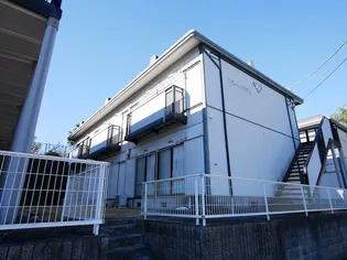 アコールスワBの画像