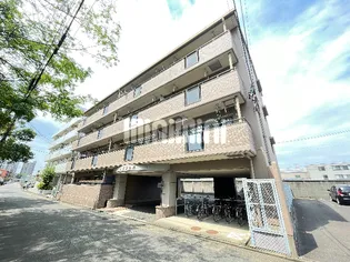 メゾン丸万の画像