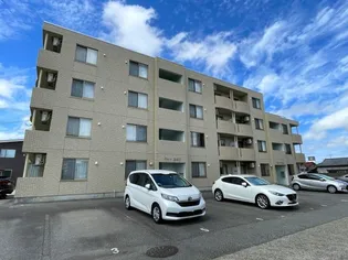 ミューM&Uの画像