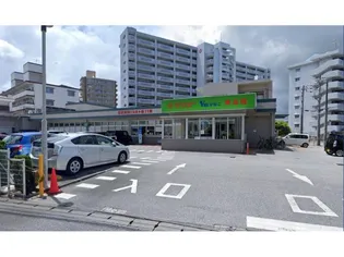 プランドールS.TII【1階】の周辺