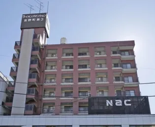 神奈川県横浜市南区吉野町5【マンション】の外観