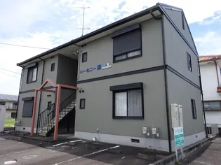 ハーモニー柳の画像