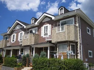 チェリー ブロッサムの画像