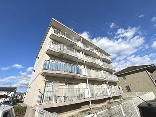 ハイツ鍵和田の画像