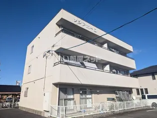 ソシアポーロの画像