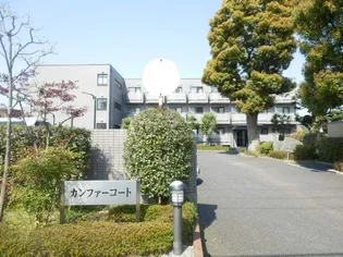 カンファーコートの画像