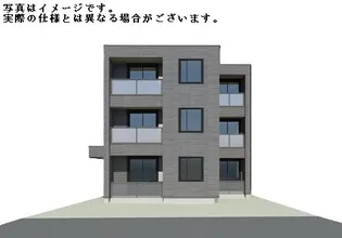 グレイッシュフジシマの画像