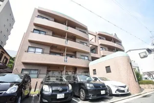 BELLE COLLINEの画像