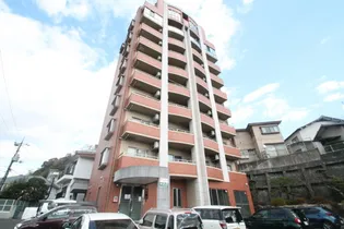 ティニーMatsuyama【7階】の外観