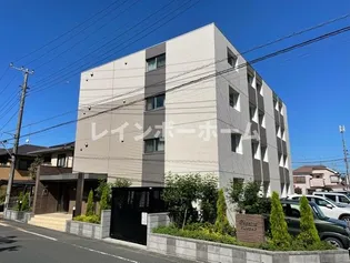 ボラ カーサの画像