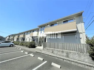 ミント Aの画像