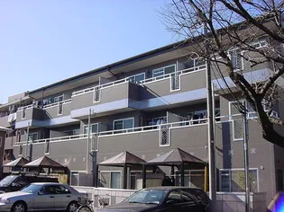 チェリーコートの画像