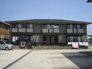 ヴァンホーリーの画像