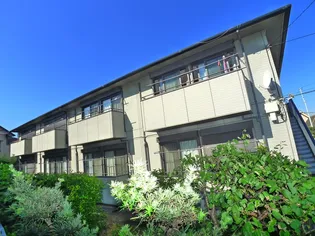 セラ アイリスの画像