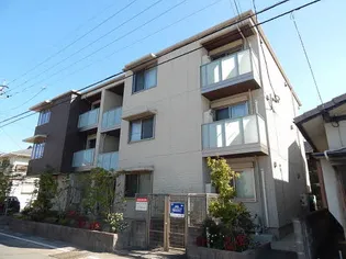 プルメリアの画像