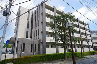 BELLA LUCE Bの画像