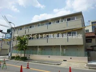 ハナミズキの画像