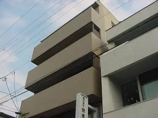 グレースアンの画像