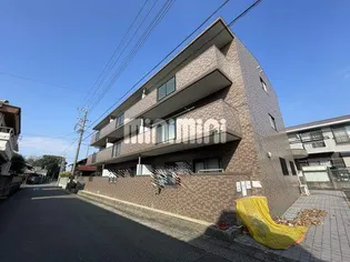 マリーゴールドの画像
