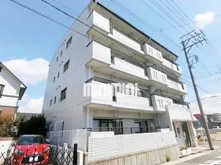 エトワール藤の画像