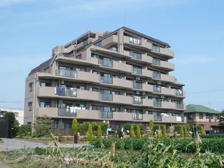 ナイスアーバン今泉プロムナードの画像