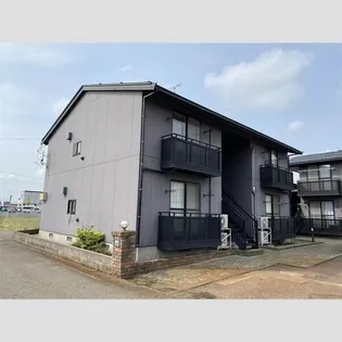 ソラーレの画像