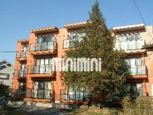 シティパルスギモトV【3階】の外観