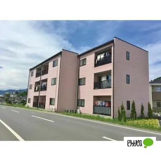 パルメゾントモエの画像