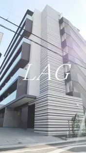 RIVER STONEの画像