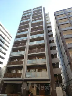 DORMOUSE 和の画像