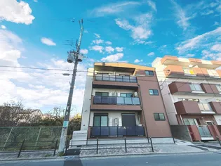 D PORTA ETERNOの画像