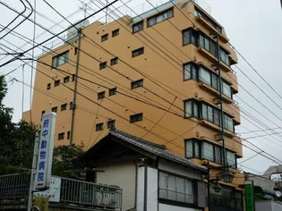 フレアの画像