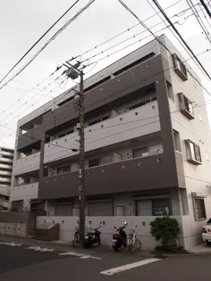 EL SURの画像