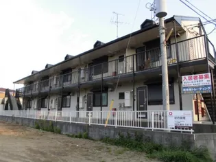 セジュールスギヌマの画像