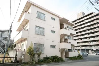 南前川ハイツ【3階】の外観