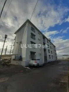 シルエ柏原の画像