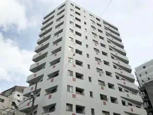 銀座レジデンス伍番館【13階】の外観