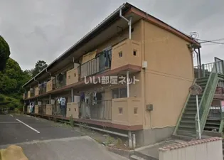 Y KOSUTARICAの画像