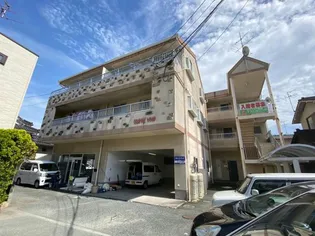 オレンジ ウッドの画像