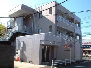 アムール大木の画像