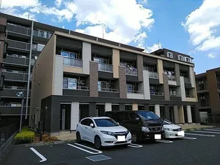 マリキータの画像